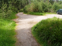 Image on trail